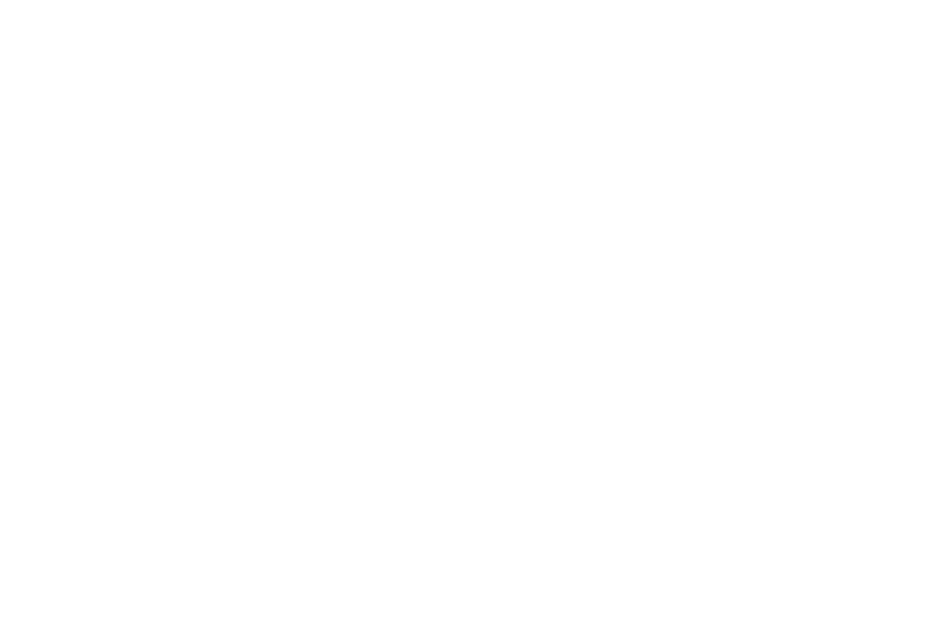 Logo DixiGroup